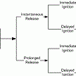 Formal Safety Analysis