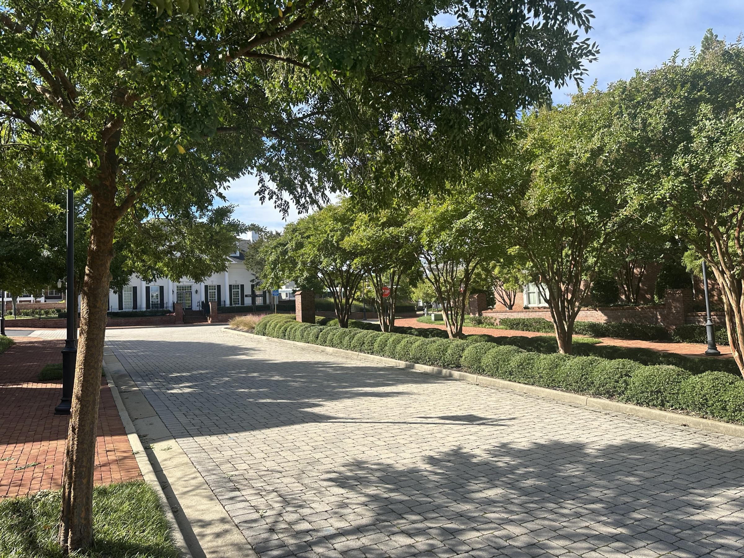 A tree-lined paver drive at Grayson Hill