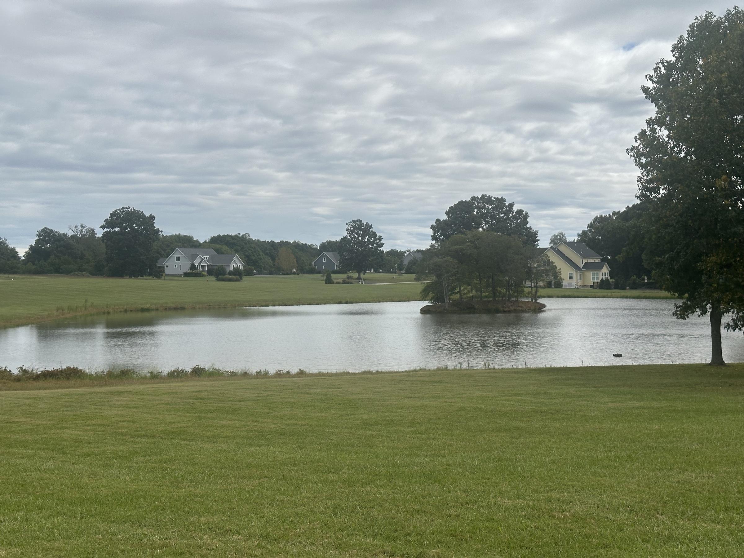 A second view of the pond at Tilman Farms with homes beyond the trees